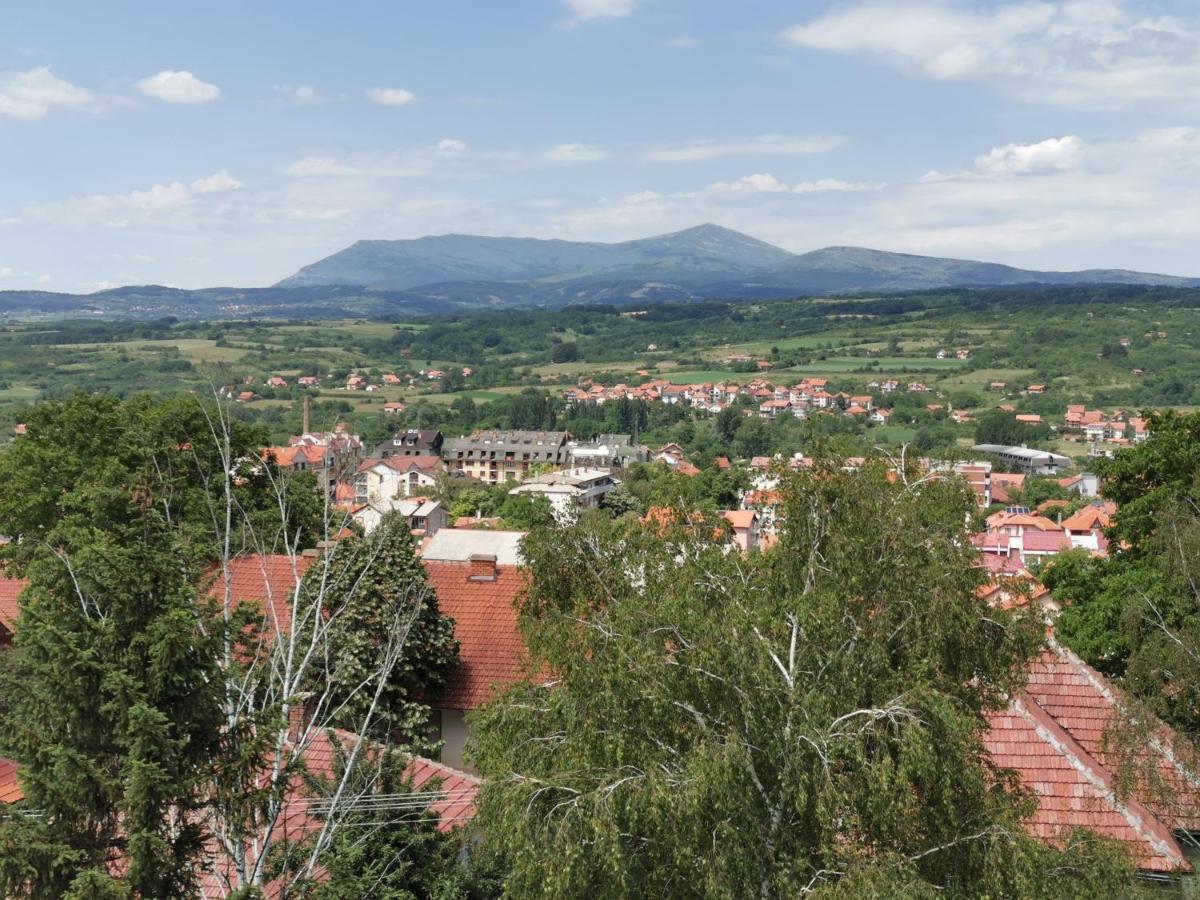 Vila Breza Sokobanja Extérieur photo