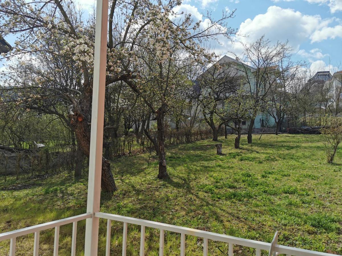 Vila Breza Sokobanja Extérieur photo