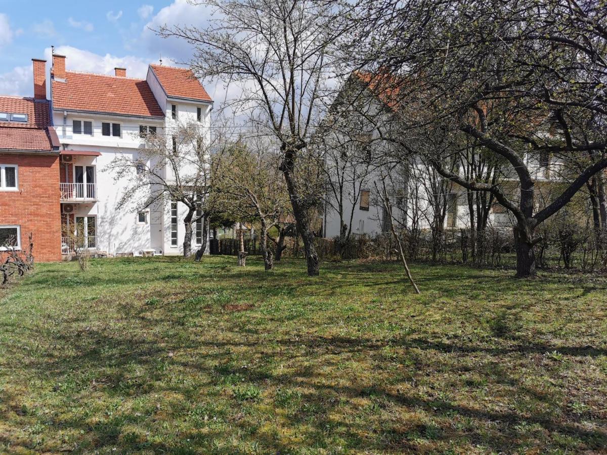 Vila Breza Sokobanja Extérieur photo