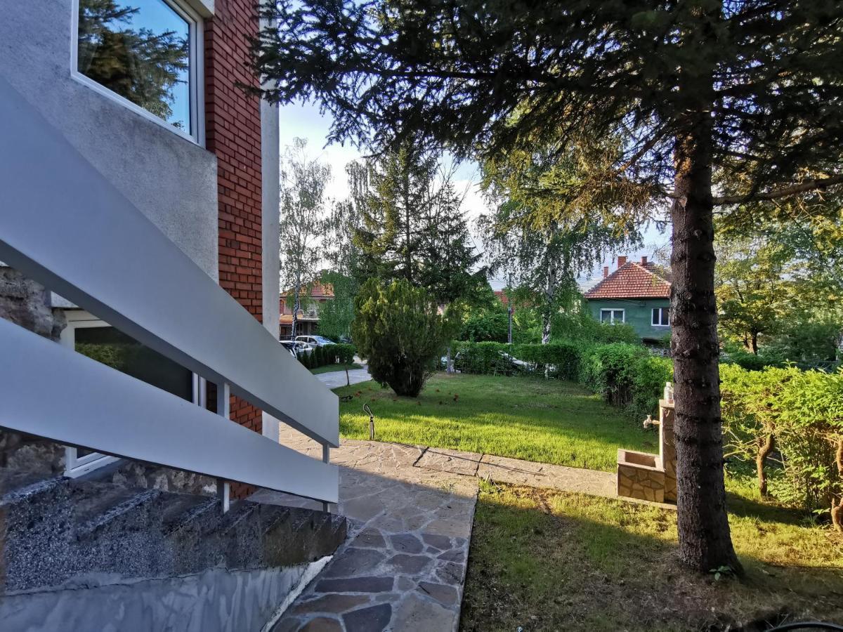 Vila Breza Sokobanja Extérieur photo