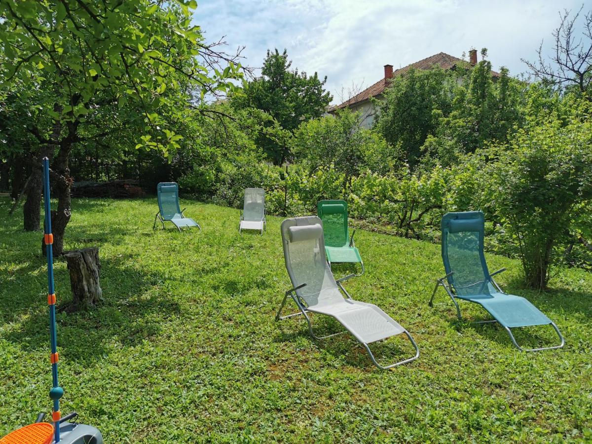 Vila Breza Sokobanja Extérieur photo