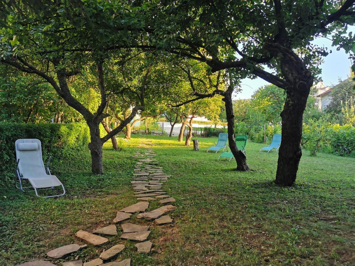 Vila Breza Sokobanja Extérieur photo
