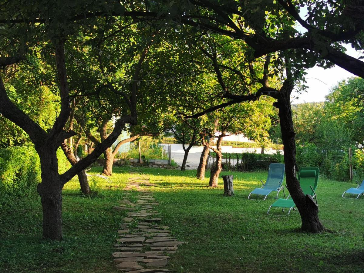 Vila Breza Sokobanja Extérieur photo