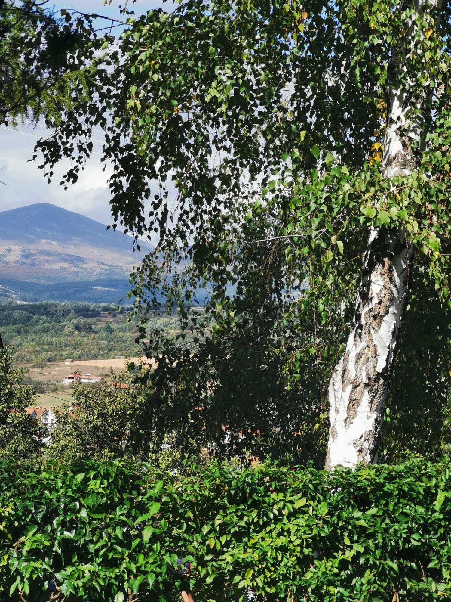 Vila Breza Sokobanja Chambre photo